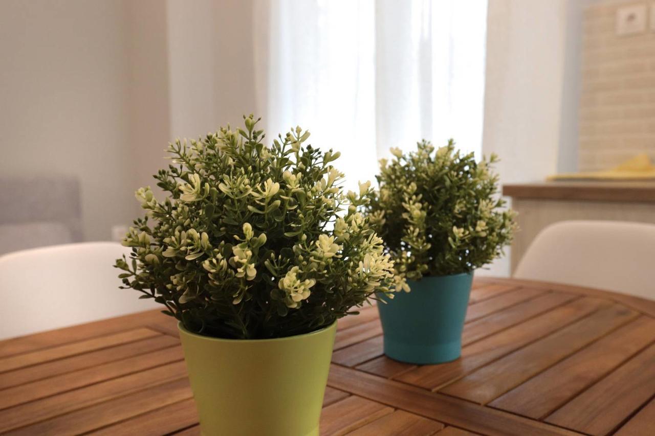 Pale Coloured Apt In Athens Historic Centre エクステリア 写真